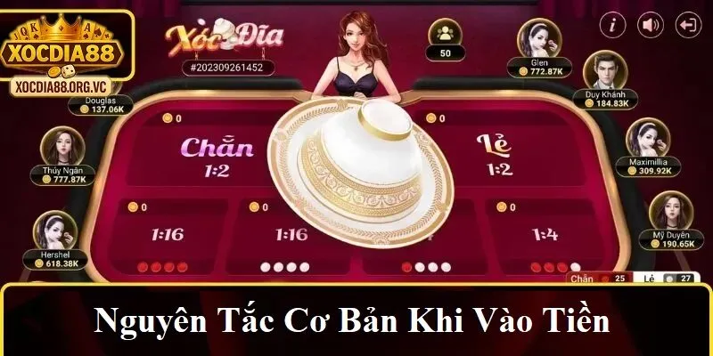 Nguyên tắc cơ bản khi vào tiền